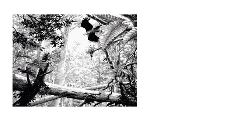 affiche luk dema 800